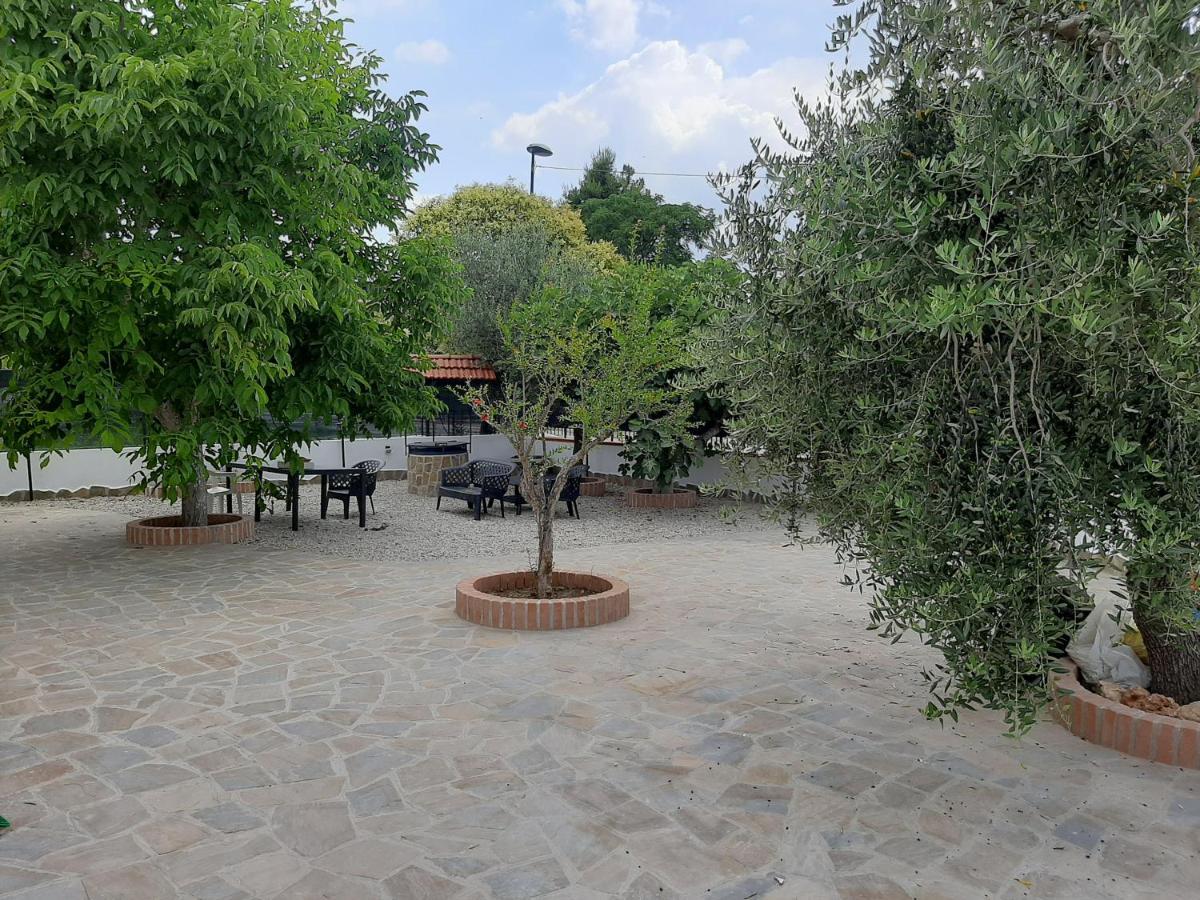 La Casa Di Ely Apartment อากรอโปลี ภายนอก รูปภาพ